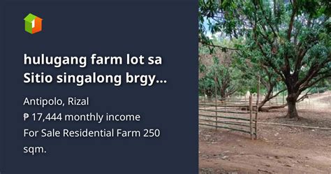 brgy san jose antipolo city|Lot For Sale in San Jose , Antipolo .
